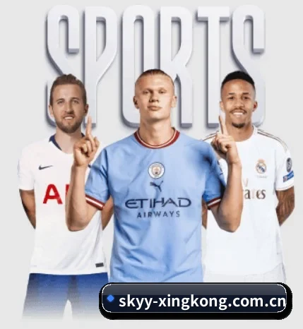 skyy-xingkong.com.cn围绕看球场景设计的核心服务